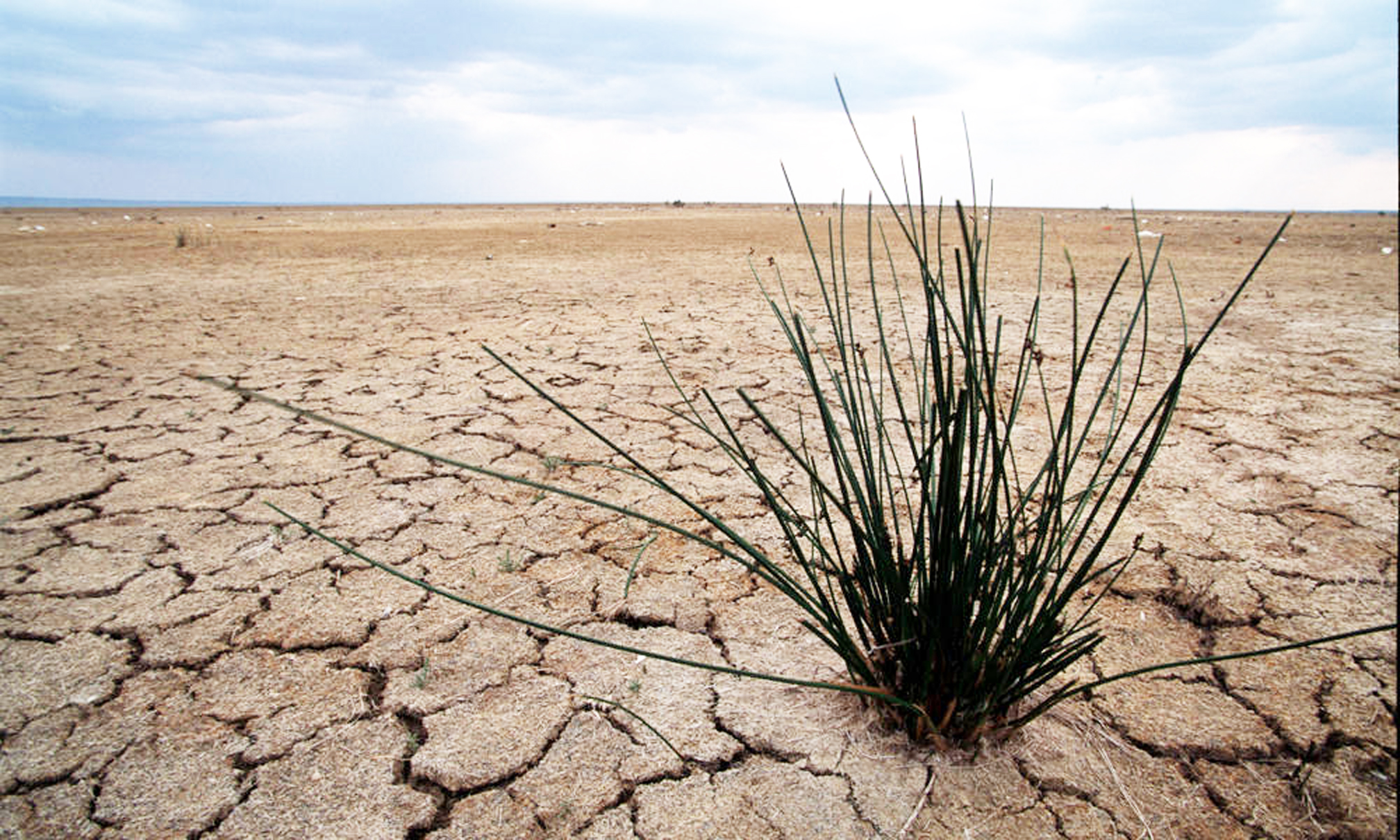 May 2013 Climate Socialist Action